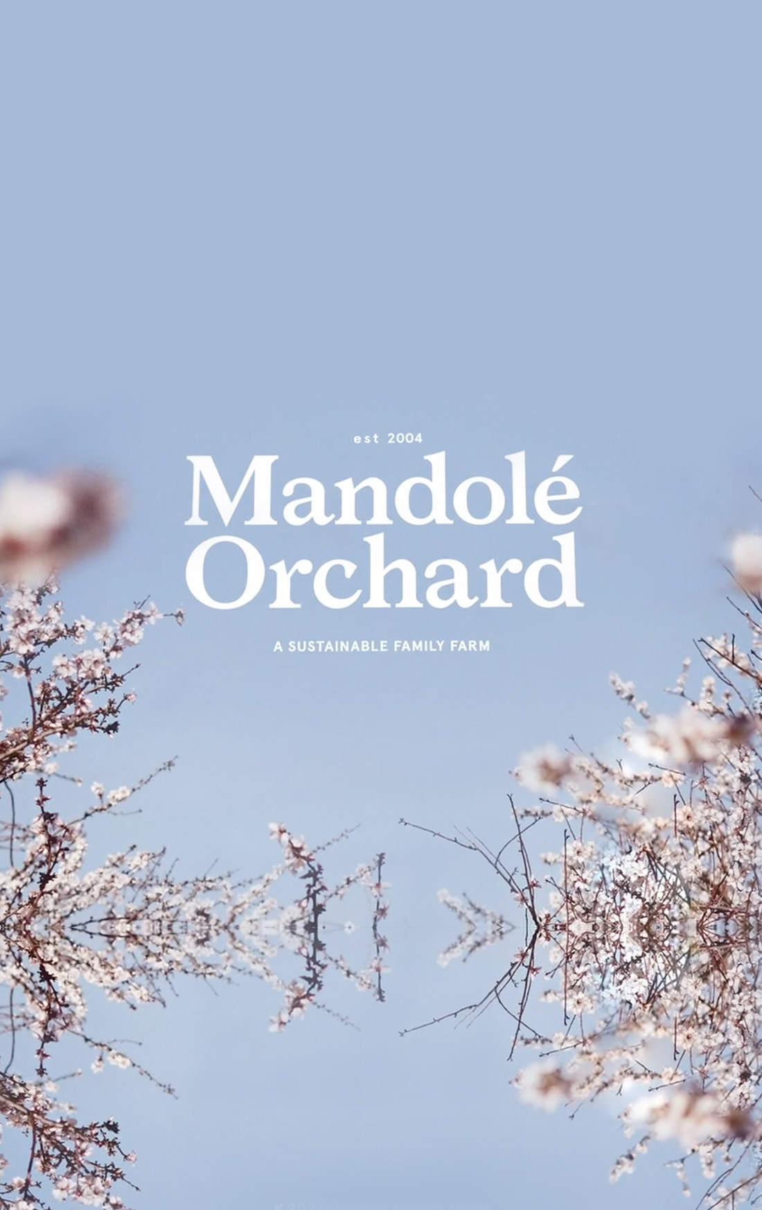 Capture Content Creators | Mandole Orchard